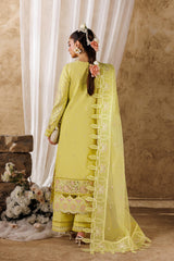 Woman in a light green traditional outfit standing in front of a curtain with decorative elements.