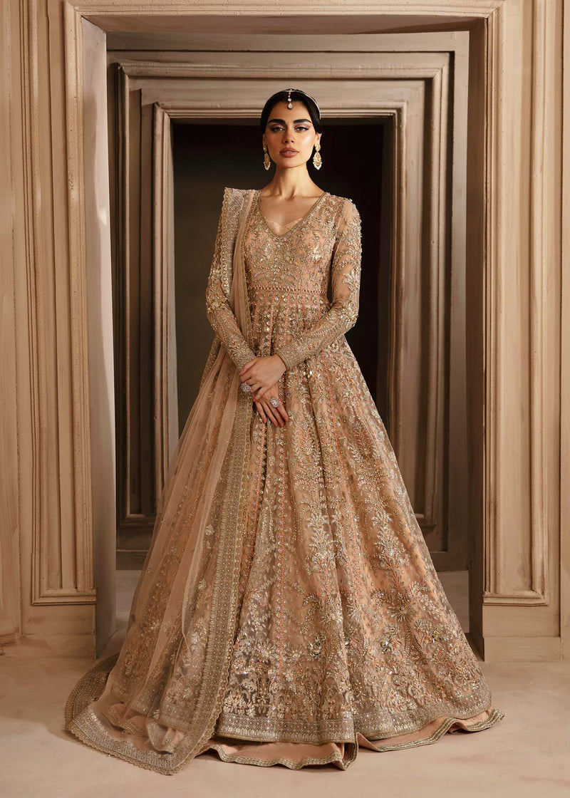 Aveline – Akbar Aslam