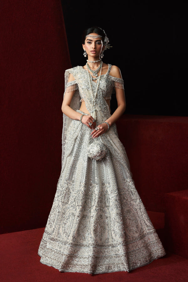 silver pakistani dresses Silver Pakistani Dress