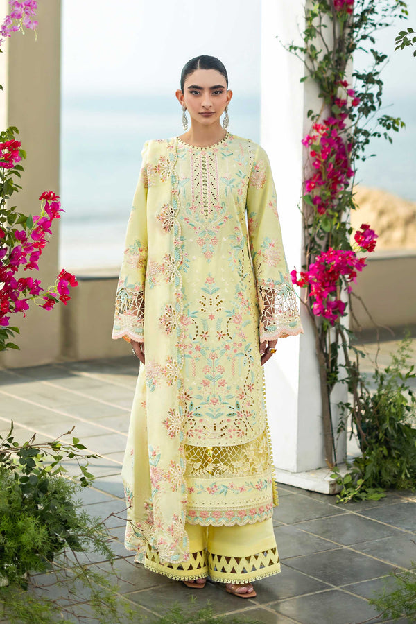Lawn Dresses in Pakistan | Akbar Aslam
