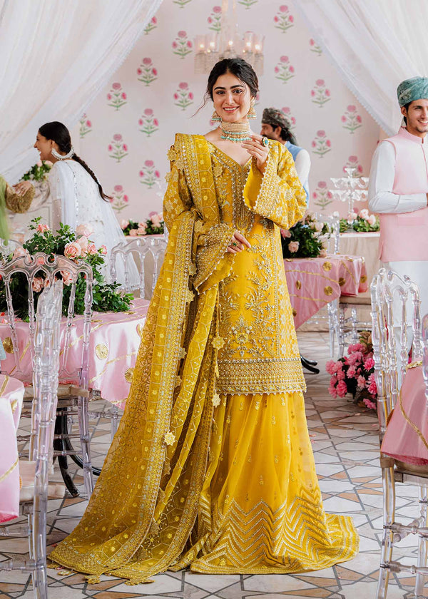 Elegant Pakistani Blue Net Organza Kameez Sharara Suit | Party dresses for  women, Long frocks, Organza dress pakistani
