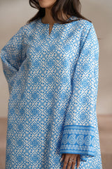 Pinaura