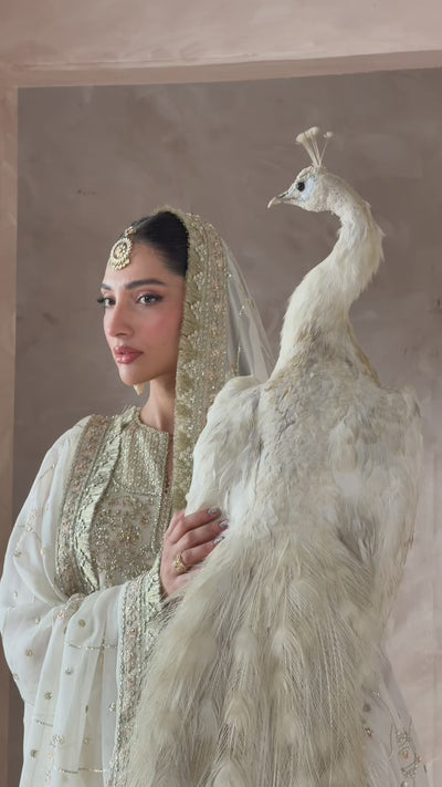 Zarifa 5051 – Mobile Shoot video