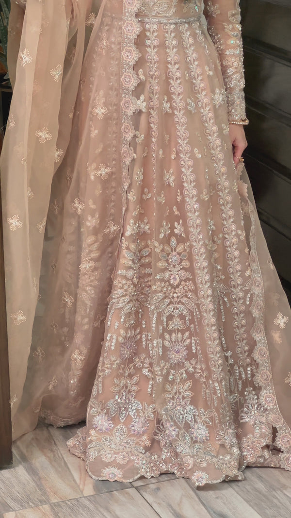 Parisa 1650 — Customer Diaries