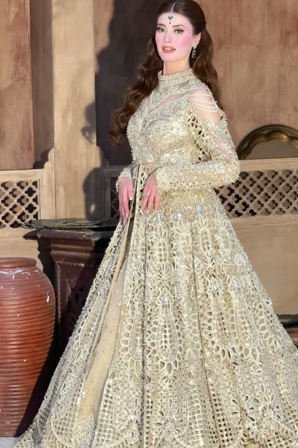 Raveena UGC - Lumina Customer Diary